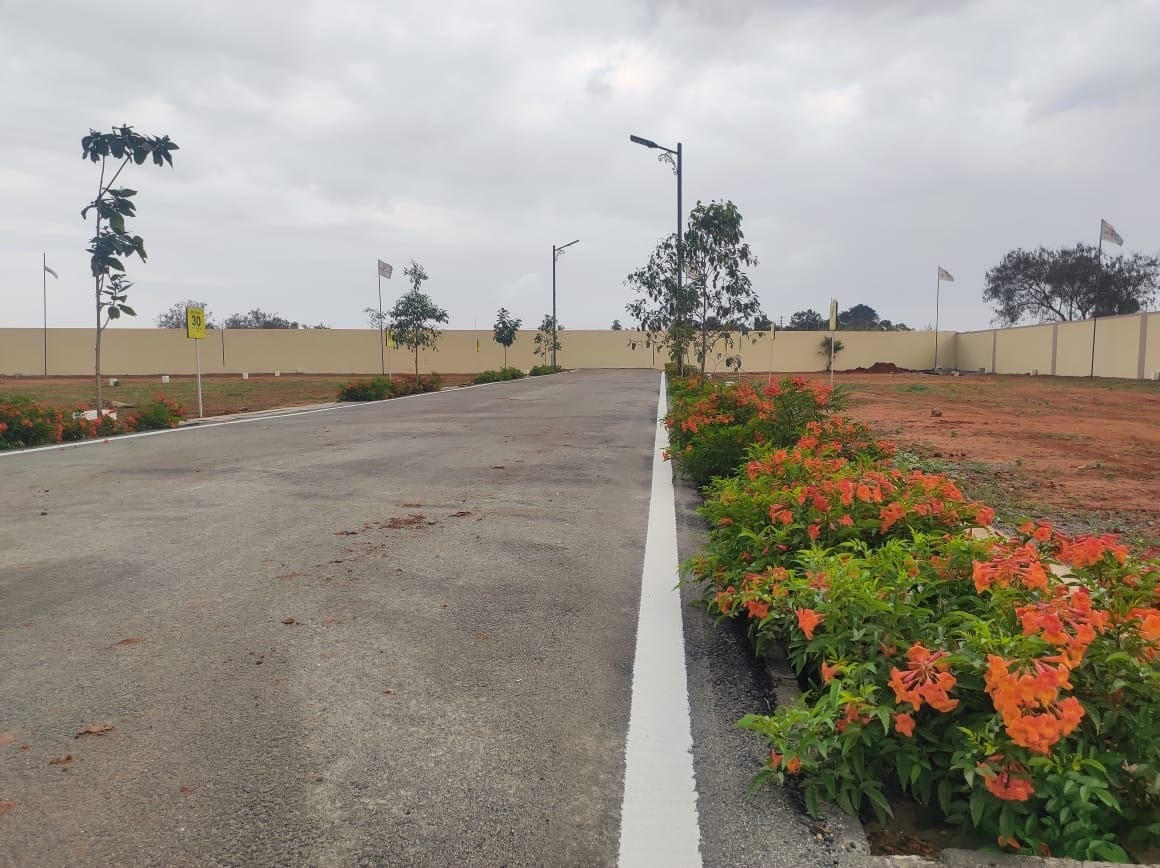 Internal blacktop road with landscaping at Albatross